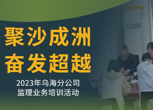 聚沙成洲 奮發(fā)超越--2023年烏海分公司監(jiān)理業(yè)務(wù)